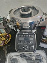 moulinex companion xl