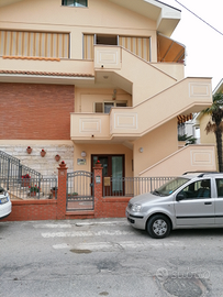 Pineto ultime disponibilità