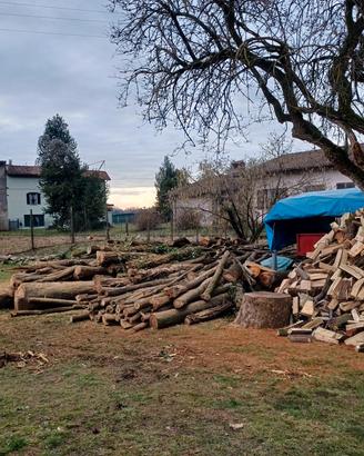 Legna da ardere 