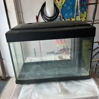 Acquario in vetro 80 litri usato