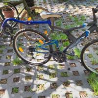 Tandem e City bike da 28