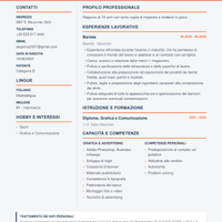 Graphic Designer