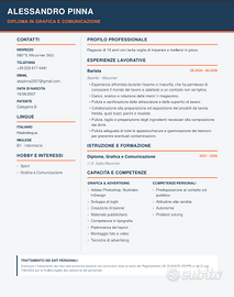 Graphic Designer