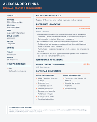 Graphic Designer