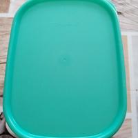 Contenitore per frigorifero tupperware