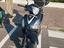 Immagine 2
