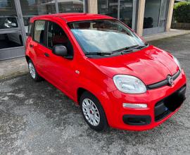 Fiat Panda 1.2 69cv Easy