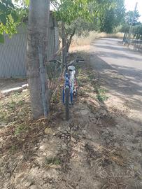 bici Gianni Bugno 20