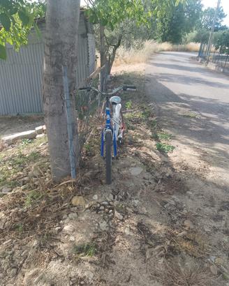 bici Gianni Bugno 20