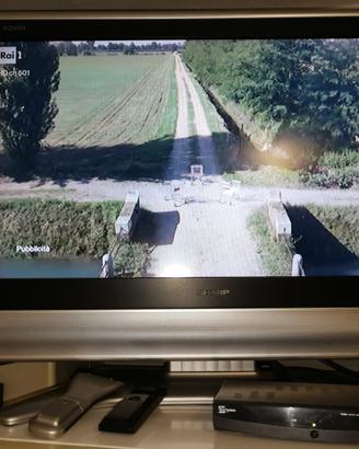 TV SHARP LC-32P55E e Decoder Telesystem TS6280