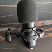 Microfono a condensatore BM-700