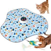 Gioco interattivo Gatti