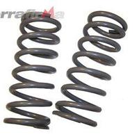 Molle posteriori Defender 110 td5 + 5cm medio cari