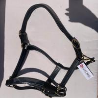 Capezza in cuoio Equipe