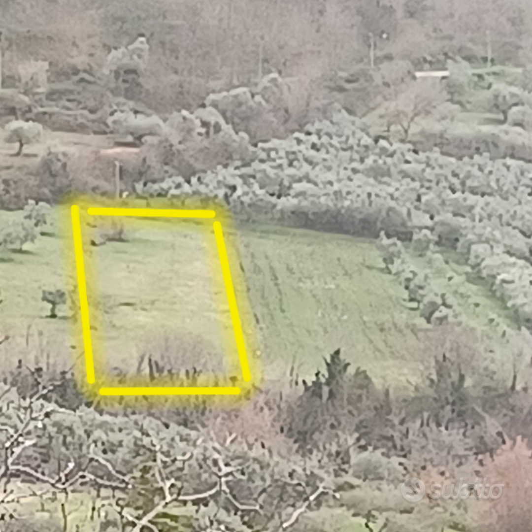 Terreno agricolo - Vista 5