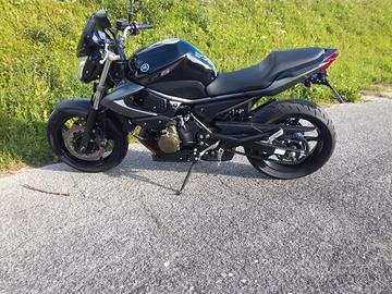 Yamaha XJ6 600cc naked.