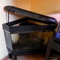 Acquario 60 litri