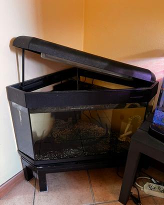 Acquario 60 litri