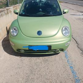 SPLENDIDA NEW BEETLE