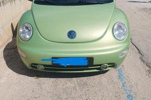SPLENDIDA NEW BEETLE