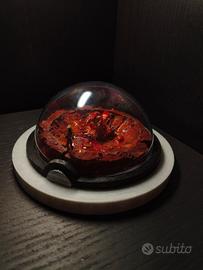 Diorama Pokémon – Scontro contro Groudon
