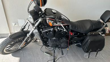 Harley- Davidson 883R