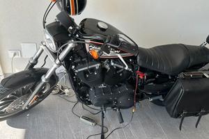 Harley- Davidson 883R