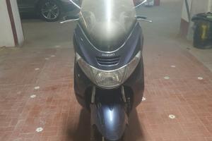 Suzuki burgman 400 2001