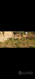 Terreno a Palermo