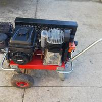 motocompressore raccogli olive 