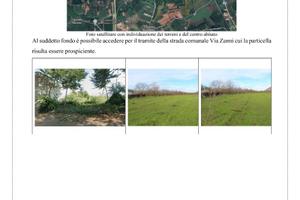 TSMCV 264/2023 LOTTO 2 TERRENO