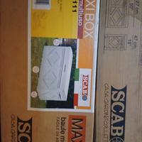 Baule della scab in resina beige