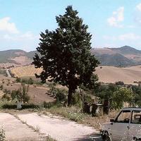 Terreno con casa colonica