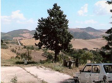 Terreno con casa colonica