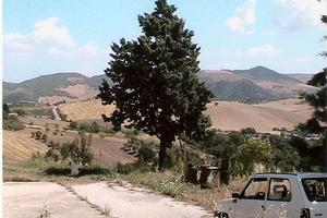 Terreno con casa colonica