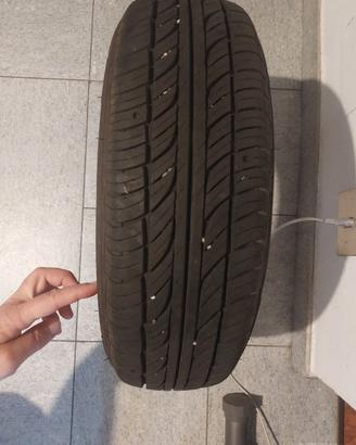 Gomma estiva falken sincera sn828