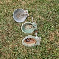 Abbeveratoio per cavalli