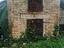 Immagine 6