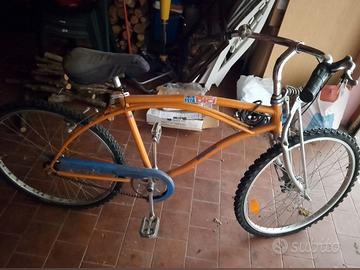 Bicicletta bianchi