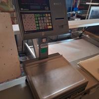 Bilancia alimentare professionale 