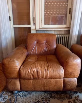 Poltrone in pelle