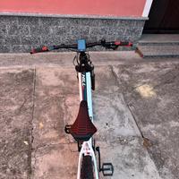 Bicicletta MTF