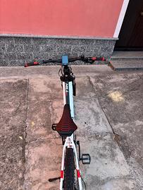 Bicicletta MTF