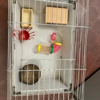 Gabbia per piccoli animali