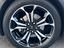Immagine 21