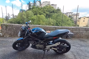 Suzuki Gladius 650