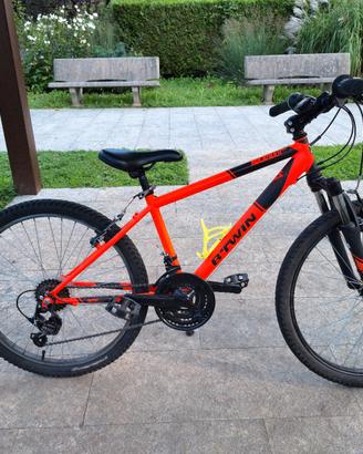 Mtb 24 