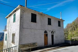 Appartamento in casa bifamiliare con terreni