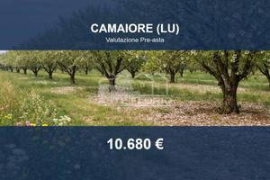 Immobile in asta di 2196 m² a Camaiore