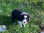 Immagine 27